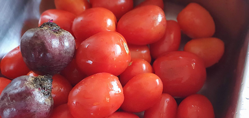 como fazer molho de tomate caseiro