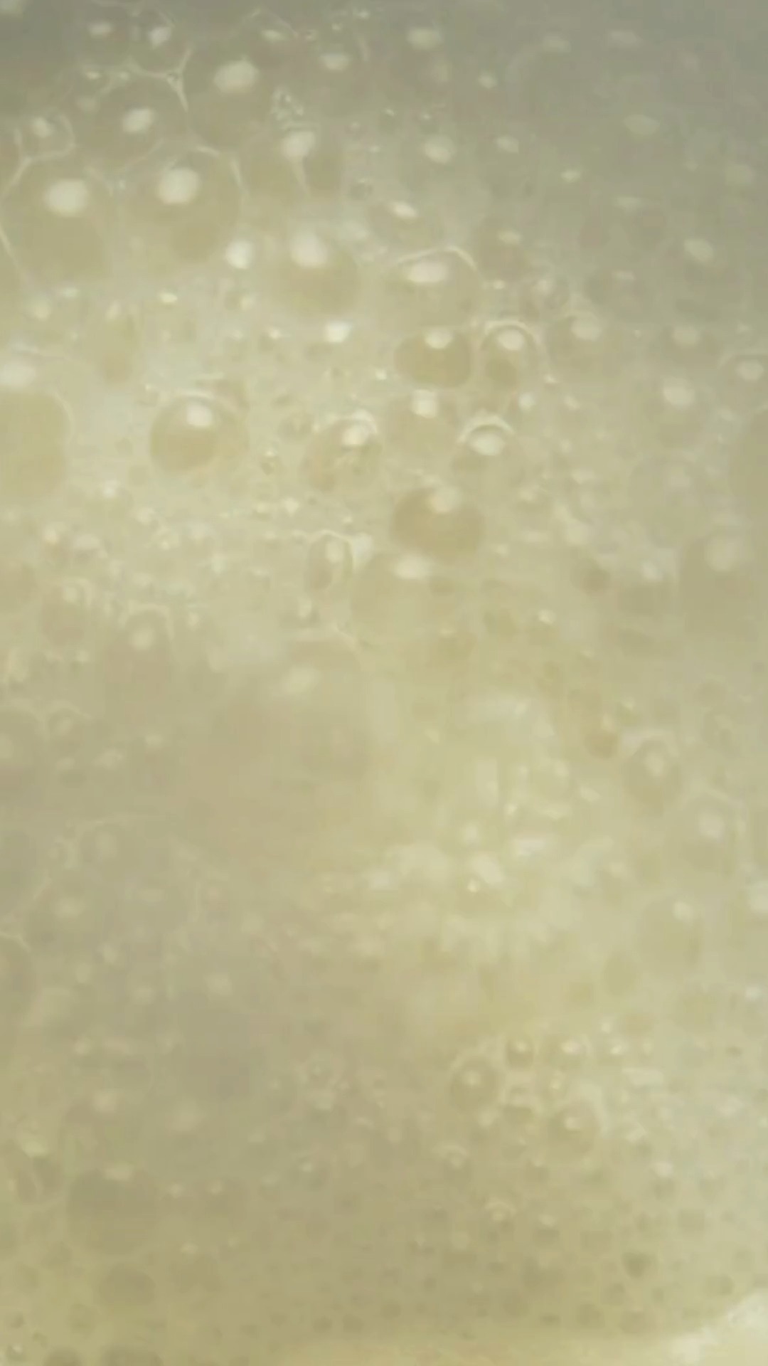arroz_video_2-1-poster